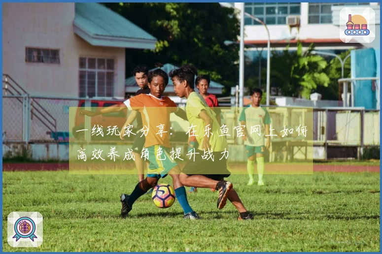 一线玩家分享：在乐鱼官网上如何高效养成角色提升战力