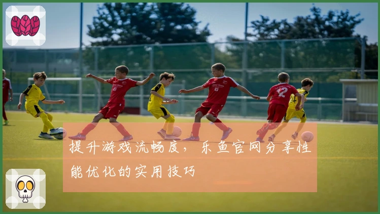 提升游戏流畅度，乐鱼官网分享性能优化的实用技巧