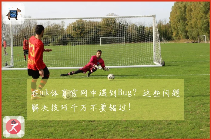 在mk体育官网中遇到Bug？这些问题解决技巧千万不要错过！